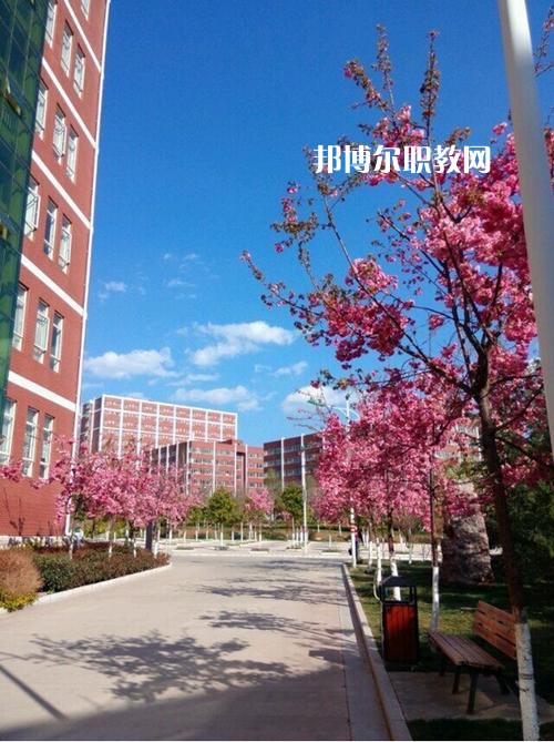 云南藝術學校2021年招生辦聯(lián)系電話