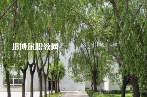 新疆喀什地區(qū)衛(wèi)生學(xué)校2021年報名條件、招生要求、招生對象