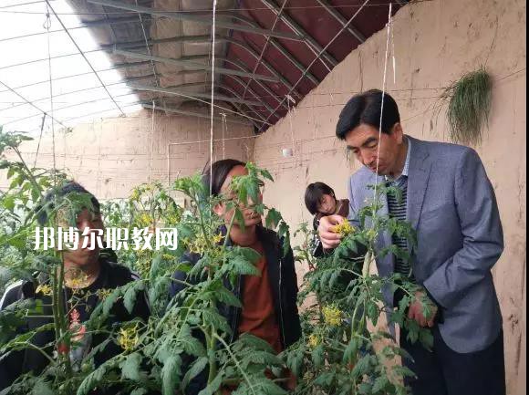 甘肅省臨夏州職業(yè)技術(shù)學(xué)校2022年學(xué)費(fèi)、收費(fèi)多少
