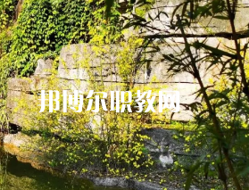 遵義職業(yè)技術(shù)學(xué)校2022年招生錄取分?jǐn)?shù)線(xiàn)