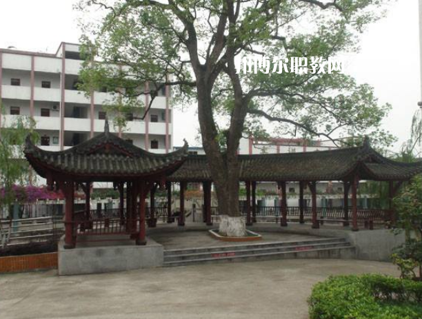 四川合江先市職業(yè)高級中學(xué)校怎么樣、好不好