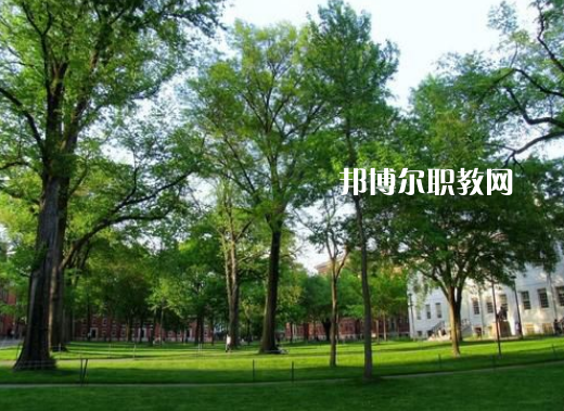鳳慶縣職業(yè)高級中學(xué)2022年招生錄取分數(shù)線