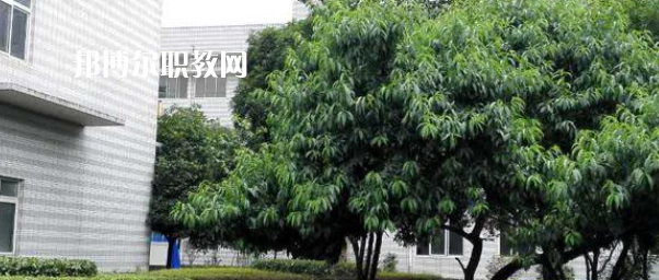 成都市中山職業(yè)技術(shù)學(xué)校2022年報名條件、招生要求、招生對象
