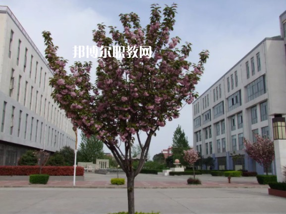 陳倉區(qū)職業(yè)教育中心2022年報名條件、招生要求、招生對象