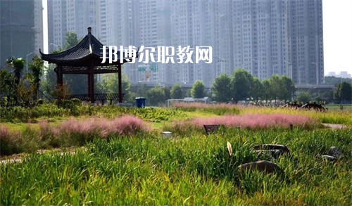 徐州生物工程職業(yè)技術(shù)學(xué)院中專部2022年報(bào)名條件、招生要求、招生對(duì)象
