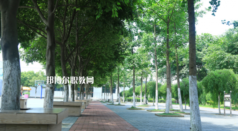 鎮(zhèn)雄縣職業(yè)高級(jí)中學(xué)2022年報(bào)名條件、招生要求、招生對(duì)象