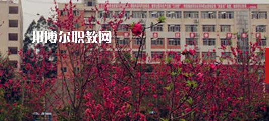 岑溪市中等專業(yè)學校2022年報名條件、招生要求、招生對象