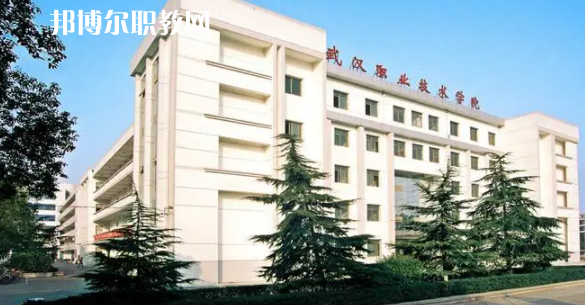 2023湖北十大?？茖W(xué)校名單及排行榜