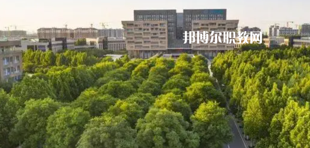 2023山東十大?？茖W(xué)校名單及排行榜