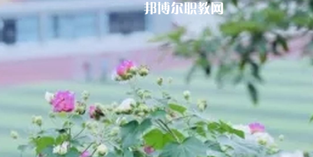 眉山技師學(xué)院地址在哪里，哪個(gè)地區(qū)，哪個(gè)城市?