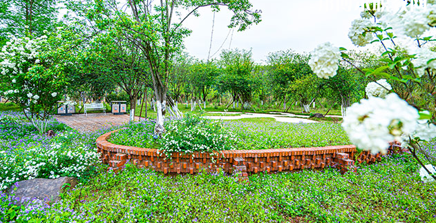 重慶望江技工學(xué)校地址在哪里，哪個地區(qū)，哪個城市?