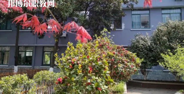 杭州僑星中學(xué)地址在哪里，哪個地區(qū)，哪個城市?