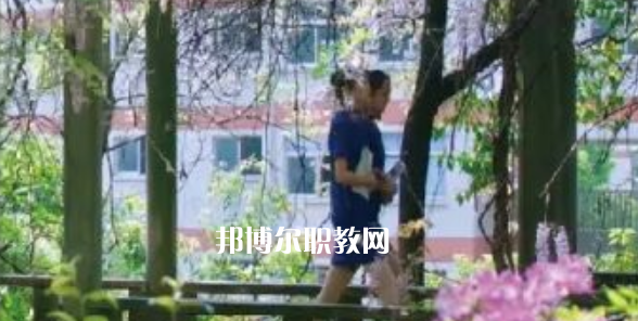 2023金華市成功學(xué)校招生計劃 招生人數(shù)是多少(附要求、條件、對象)