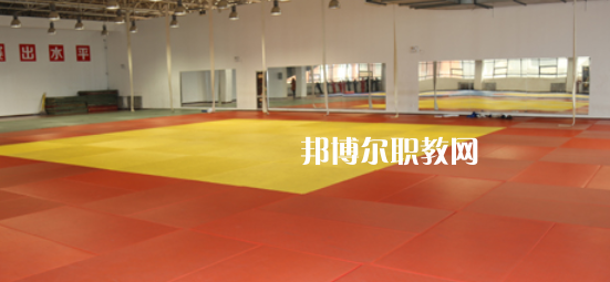 2023渭南市青少年體育運動學(xué)校招生計劃 招生人數(shù)是多少(附要求、條件、對象)