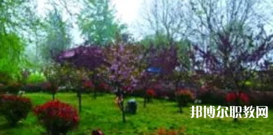 2023隆堯縣職業(yè)技術(shù)教育中心招生計劃 招生人數(shù)是多少(附要求、條件、對象)