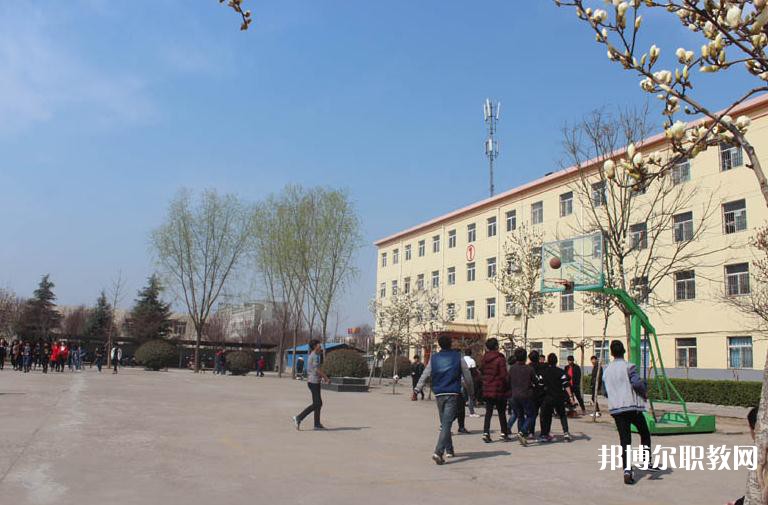 楊凌中等職業(yè)學校2023年招生錄取分數線（2024參考）
