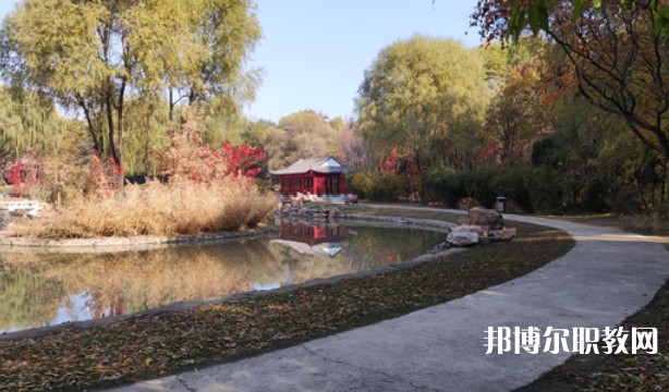 2024沈陽職業(yè)技術(shù)學(xué)院附屬中等專業(yè)學(xué)校招生計劃 招生人數(shù)是多少(附要求、條件、對象)