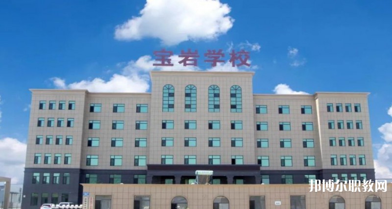 2025沈陽寶巖藝術(shù)學(xué)校招生計(jì)劃 招生人數(shù)是多少(附要求、條件、對象)